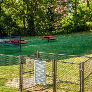 Renovated Dog Parks