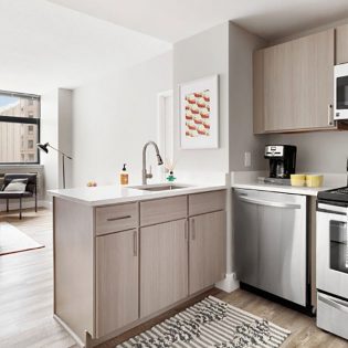 SoCam 290 Newly Renovated Apartments